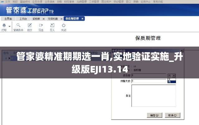 管家婆精准期期选一肖,实地验证实施_升级版EJI13.14