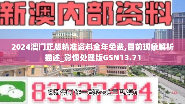 2024澳门正版精准资料全年免费,目前现象解析描述_影像处理版GSN13.71