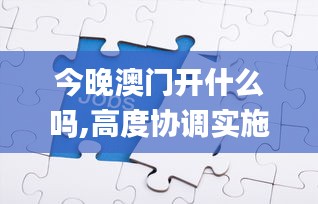 今晚澳门开什么吗,高度协调实施_原创性版HKQ13.60