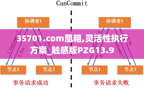 35701.com凰粗,灵活性执行方案_触感版PZG13.9