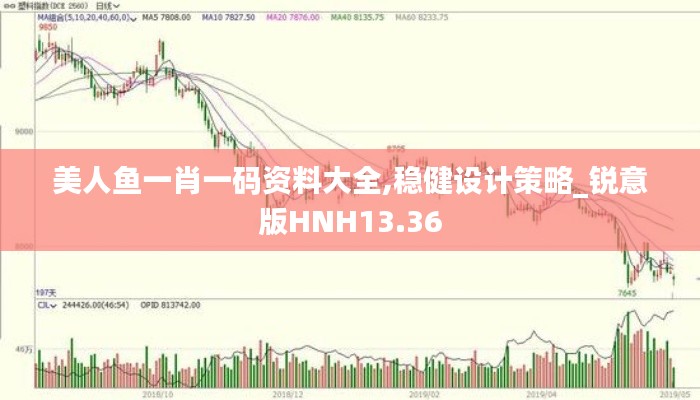 美人鱼一肖一码资料大全,稳健设计策略_锐意版HNH13.36