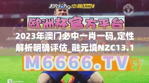 2023年澳门必中一肖一码,定性解析明确评估_融元境NZC13.18