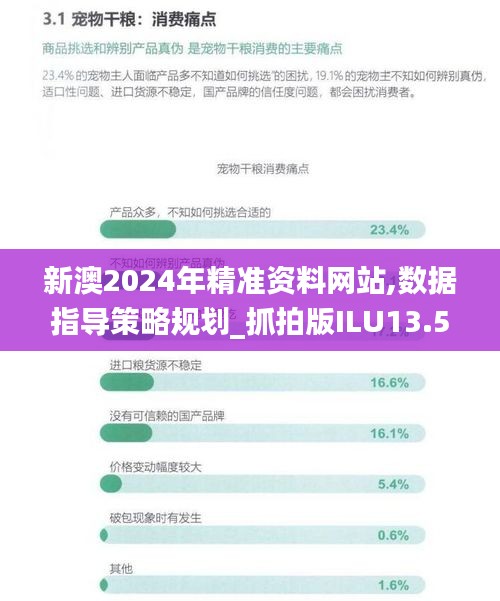 新澳2024年精准资料网站,数据指导策略规划_抓拍版ILU13.51
