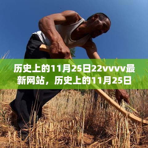 历史上的11月25日数字时代变迁与最新网站发展探索