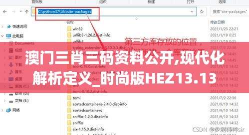 澳门三肖三码资料公开,现代化解析定义_时尚版HEZ13.13