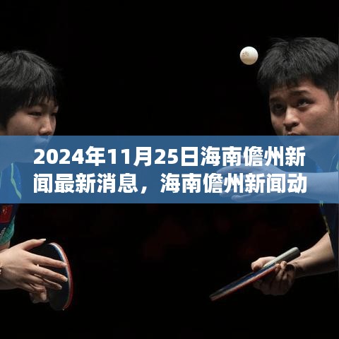 海南儋州新闻动态深度解析，最新消息综合评述（XXXX年）