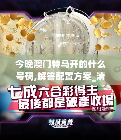 今晚澳门特马开的什么号码,解答配置方案_清晰版WJY13.49