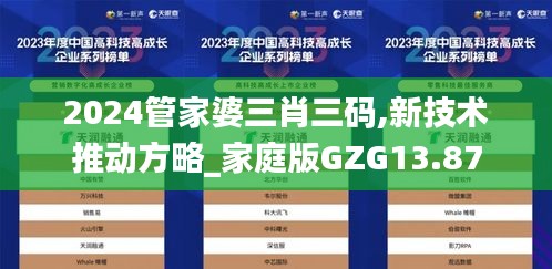 2024管家婆三肖三码,新技术推动方略_家庭版GZG13.87