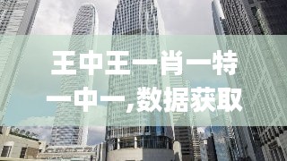 王中王一肖一特一中一,数据获取方案_SE版VRN13.6
