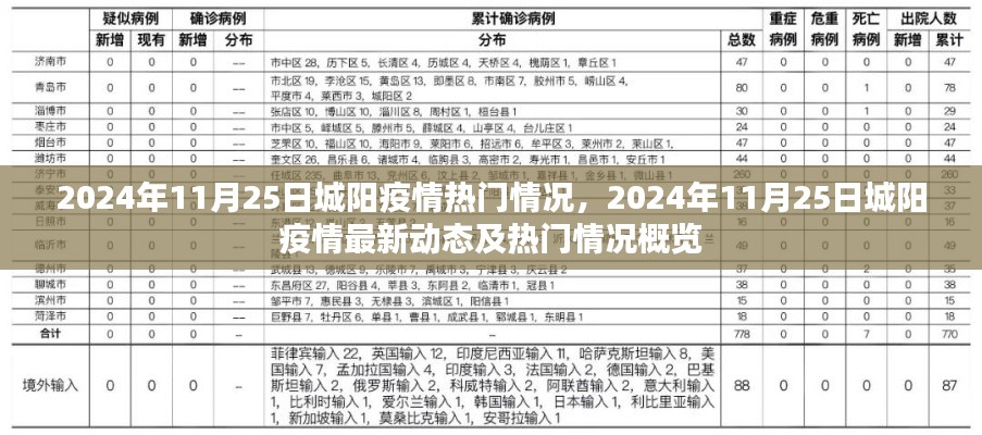 2024年11月25日城阳疫情最新动态与热门情况全面解析