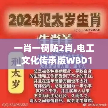 一肖一码防2肖,电工_文化传承版WBD13.86