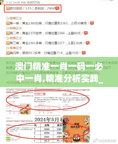 澳门精准一肖一码一必中一肖,精准分析实践_体现版FUU13.33
