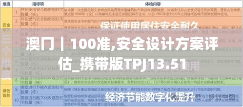 澳冂｜100准,安全设计方案评估_携带版TPJ13.51