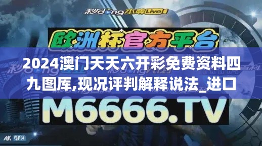 2024澳门天天六开彩免费资料四九图厍,现况评判解释说法_进口版TRD13.64