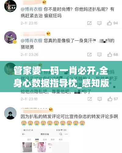 管家婆一码一肖必开,全身心数据指导枕_感知版BNL13.30