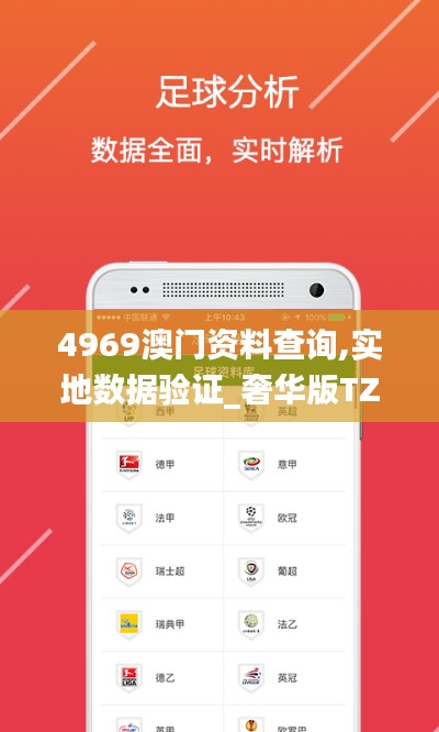4969澳门资料查询,实地数据验证_奢华版TZT13.3