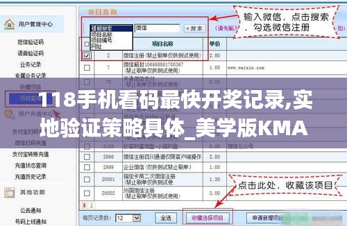 118手机看码最快开奖记录,实地验证策略具体_美学版KMA13.45