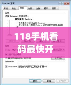 118手机看码最快开奖记录,实地验证策略具体_美学版KMA13.45