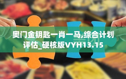 奥门金钥匙一肖一马,综合计划评估_硬核版VYH13.15