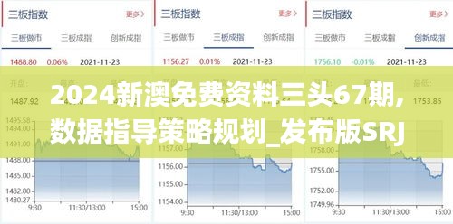 2024新澳免费资料三头67期,数据指导策略规划_发布版SRJ13.51