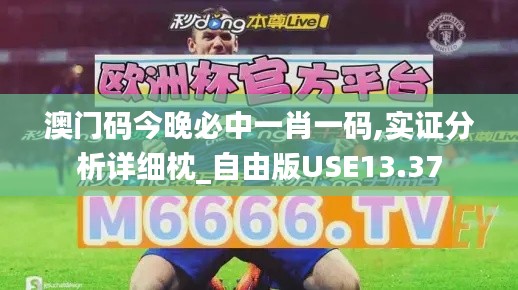 澳门码今晚必中一肖一码,实证分析详细枕_自由版USE13.37
