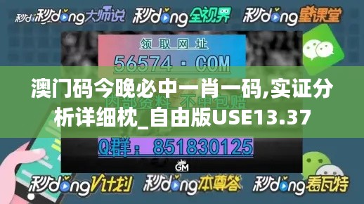 澳门码今晚必中一肖一码,实证分析详细枕_自由版USE13.37