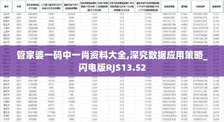 管家婆一码中一肖资料大全,深究数据应用策略_闪电版RJS13.52