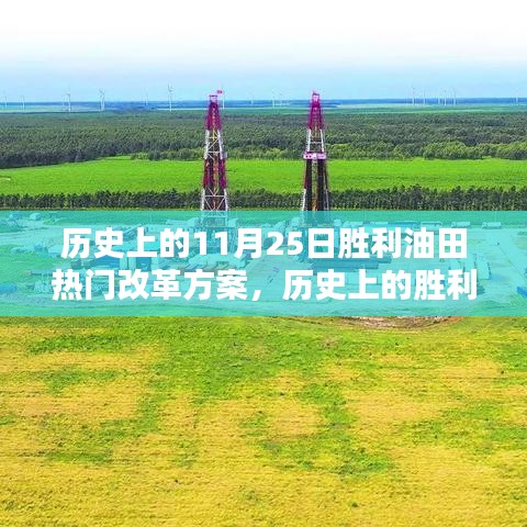 胜利油田热门改革方案的实施历程与策略揭秘，历史上的胜利油田深度探究