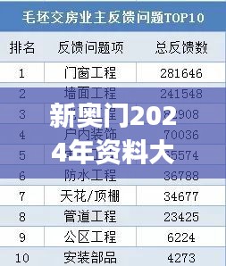 新奥门2024年资料大全官家婆,快速解答方案设计_赛博版CNM13.18