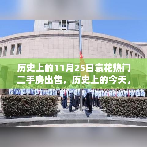 历史上的袁花二手房市场革新，全新智能交易系统震撼上市！
