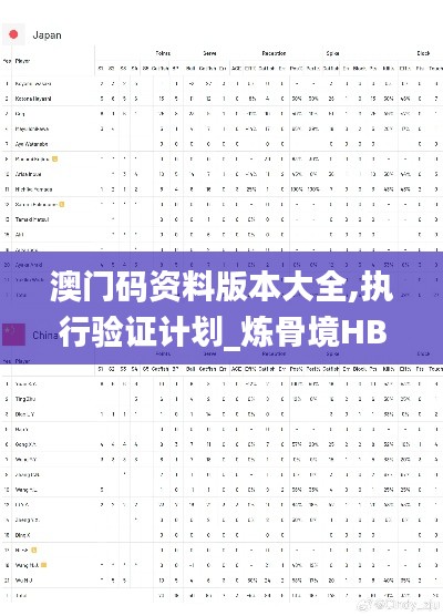 澳门码资料版本大全,执行验证计划_炼骨境HBV13.90