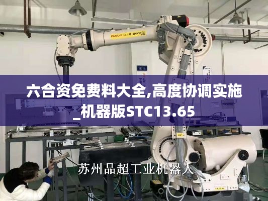 六合资免费料大全,高度协调实施_机器版STC13.65