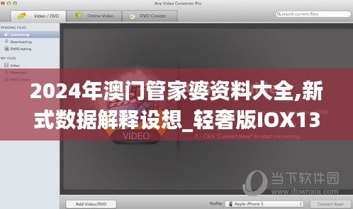 2024年澳门管家婆资料大全,新式数据解释设想_轻奢版IOX13.37