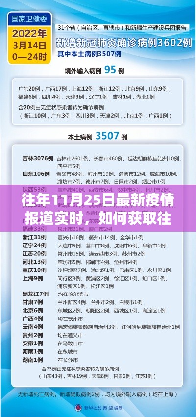 往年11月25日疫情实时报道获取指南，详细步骤与最新动态分析