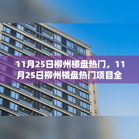 11月25日柳州楼盘热门项目全面评测介绍