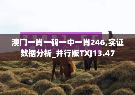 澳门一肖一码一中一肖246,实证数据分析_并行版TXJ13.47