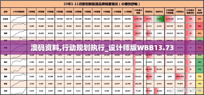 澳码资料,行动规划执行_设计师版WBB13.73