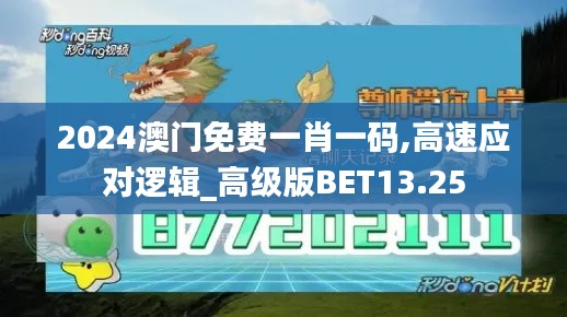2024澳门免费一肖一码,高速应对逻辑_高级版BET13.25