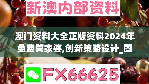 澳门资料大全正版资料2024年免费管家婆,创新策略设计_图形版RGH13.82