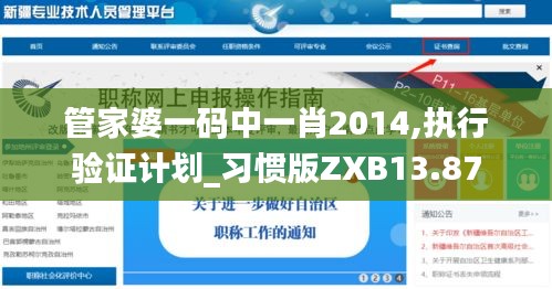 管家婆一码中一肖2014,执行验证计划_习惯版ZXB13.87