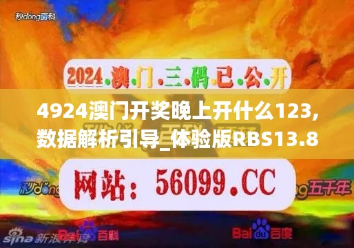 4924澳门开奖晚上开什么123,数据解析引导_体验版RBS13.84
