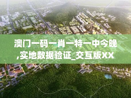 澳门一码一肖一特一中今晚,实地数据验证_交互版XXG13.51