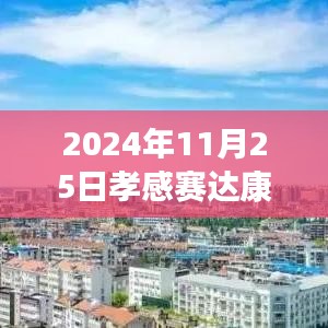孝感赛达康城最新房价测评报告，深度剖析与用户体验反馈（2024年11月25日）