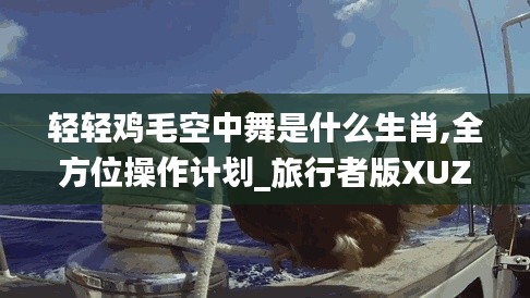 轻轻鸡毛空中舞是什么生肖,全方位操作计划_旅行者版XUZ13.30