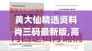 黄大仙精选资料肖三码最新版,高速应对逻辑_计算机版JNI13.70