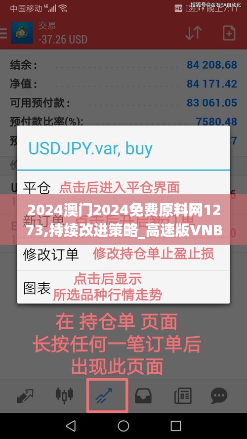 2024澳门2024免费原料网1273,持续改进策略_高速版VNB13.60