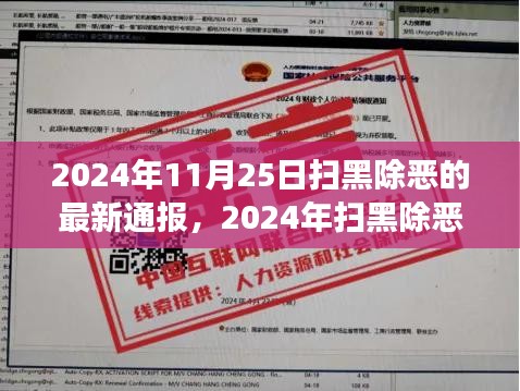 扫黑除恶行动最新进展通报，全面参与扫黑除恶的步骤指南（2024年11月）