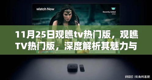 观瞧TV热门版深度解析，魅力与挑战的探讨