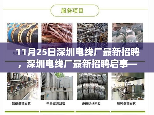 11月25日深圳电线厂最新招聘启事，探寻职业新机遇，加入电线制造行业