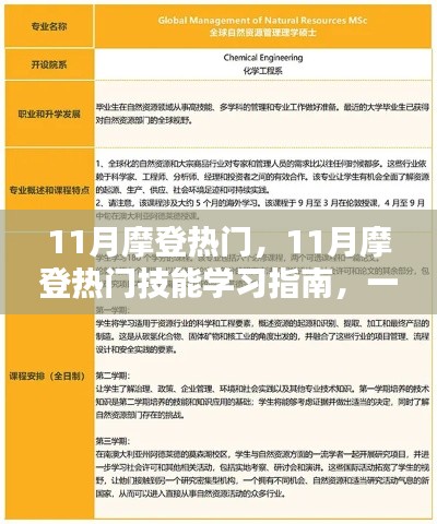 掌握摩登热门技能，学习指南与实操步骤揭秘